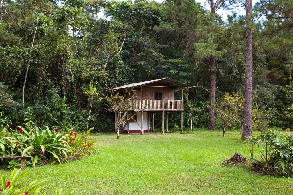 Finca Ixobel 객실 사진